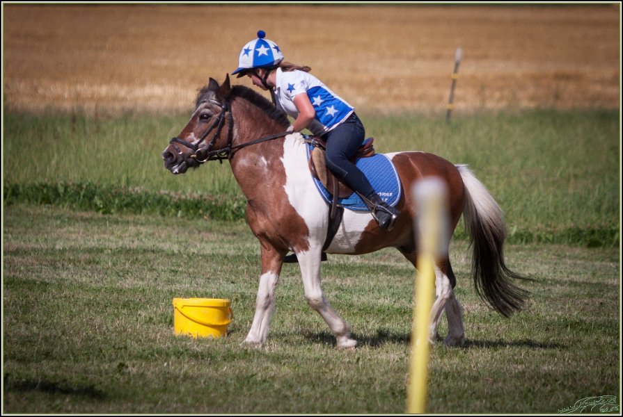 Mounted Games 327